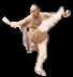 jet li 21