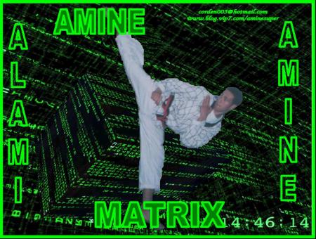 amine matrix